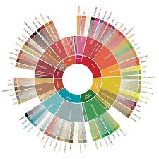 SCA Coffee Flavor Wheel